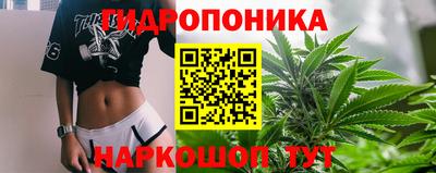 мяу мяу мука Кулебаки