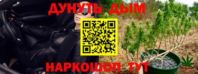 мяу мяу мука Кулебаки