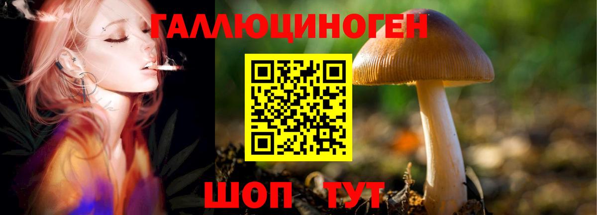Химки  Галлюциногенные грибы Magic Shrooms  Вход с VPN 